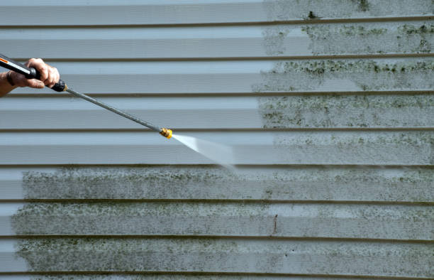 Best Exterior Home Cleaning  in Burley, WA