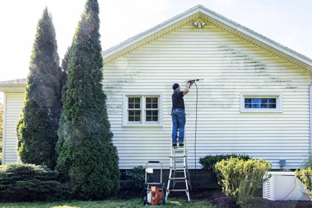 Best Fence Pressure Washing  in Burley, WA